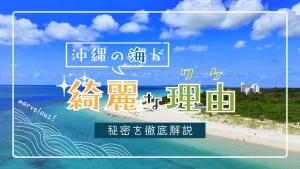 沖縄の海がきれいな理由