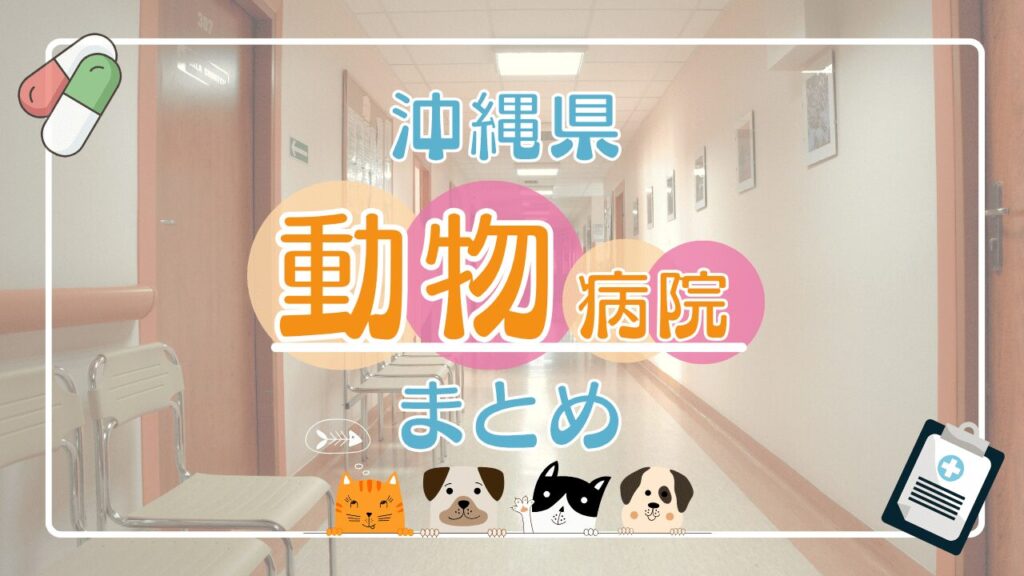 【2025年版】沖縄の動物病院まとめ|エリア別に診療時間などを紹介!