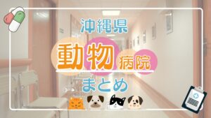 【2025年版】沖縄の動物病院まとめ｜エリア別に診療時間などを紹介！