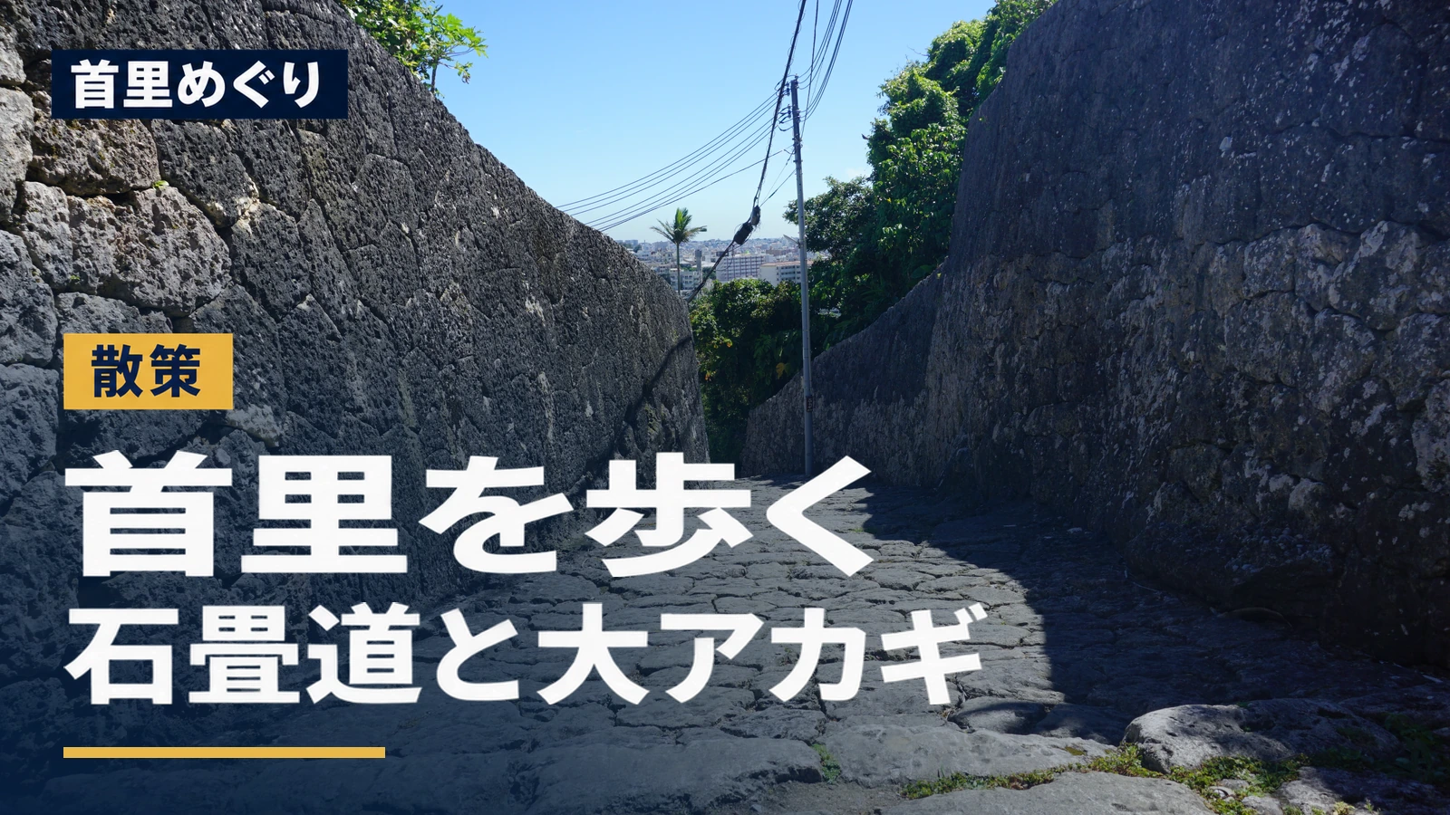 石垣に囲まれた首里金城町石畳道。「首里めぐり 首里を歩く 石畳道と大アカギ」の文字入りアイキャッチ