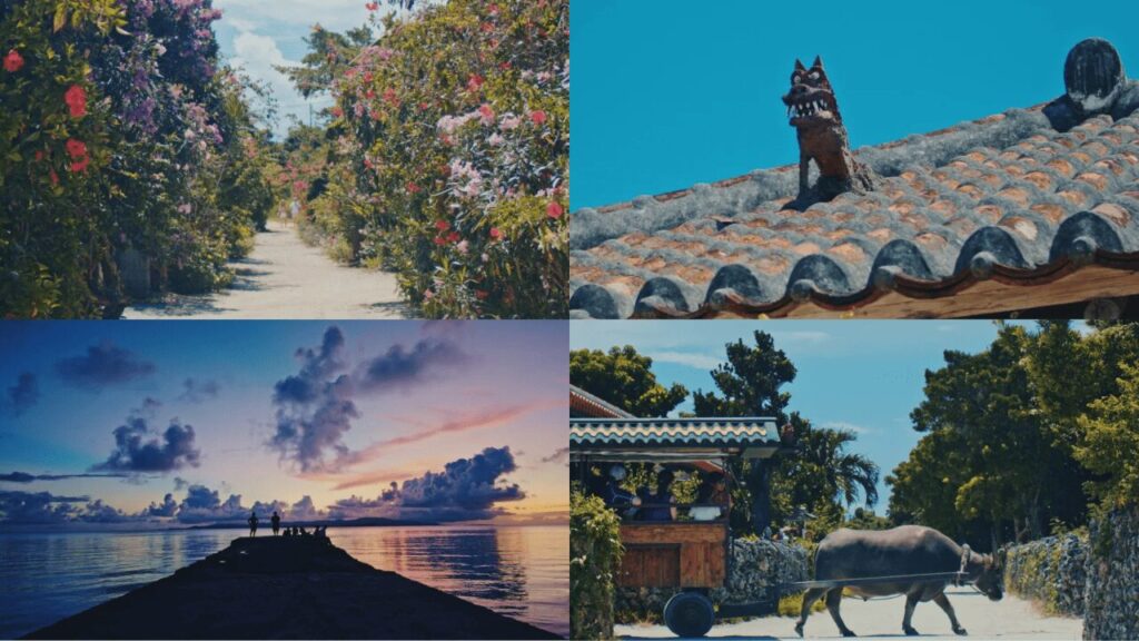 竹富島(たけとみじま)