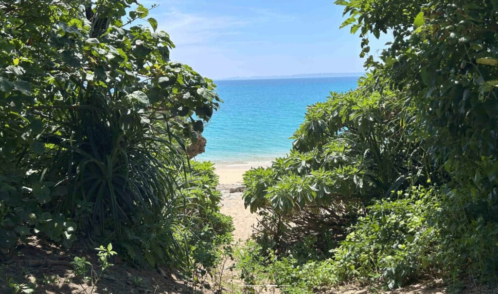 津堅島(つけんじま)