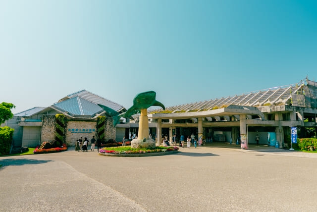 美ら海水族館