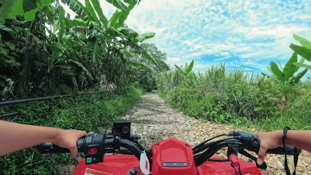 バギーに乗った際の風景