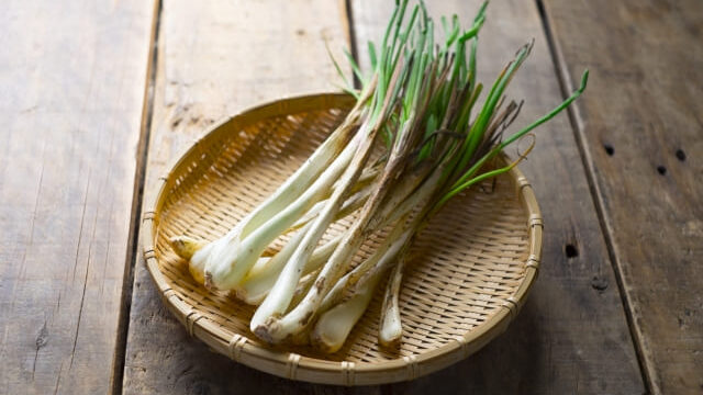 しまらっきょう