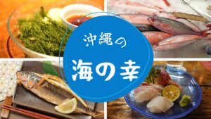 沖縄の海の幸を味わい尽くす！絶品海の幸を店舗・お土産・体験スポットから紹介！