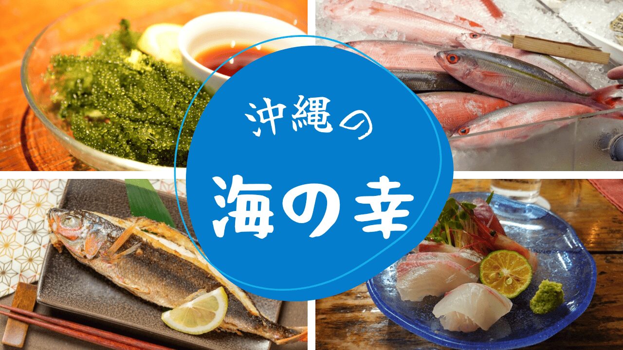 沖縄の海の幸を味わい尽くす！絶品海の幸を店舗・お土産・体験スポットから紹介！