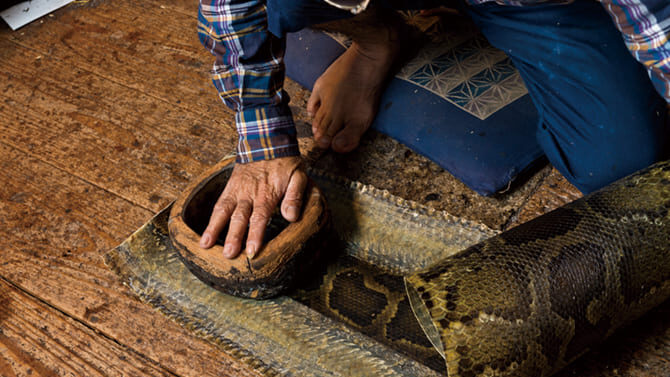 時代で変わる三線の作り方と素材