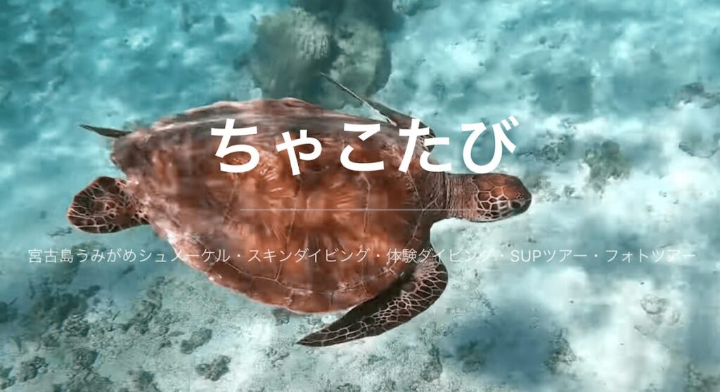 ちゃこたび