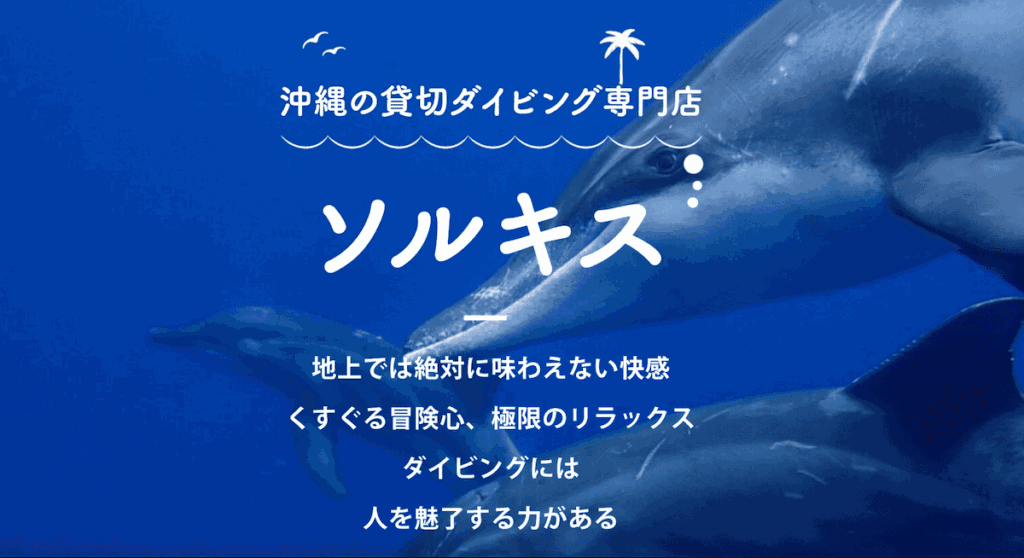 ソルキス