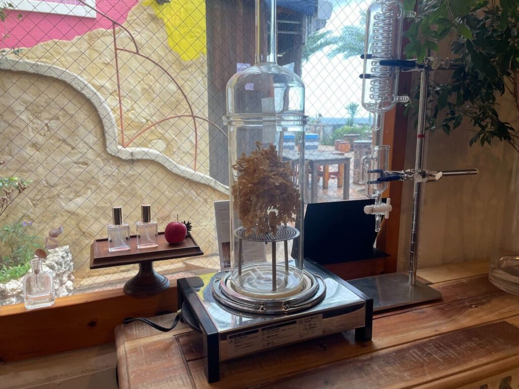 町後応されているお花