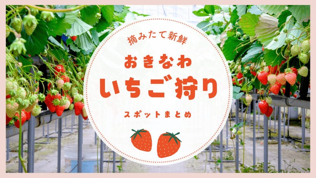 沖縄でいちご狩りができるスポットまとめ！おすすめの農園にシーズン、料金まで紹介！