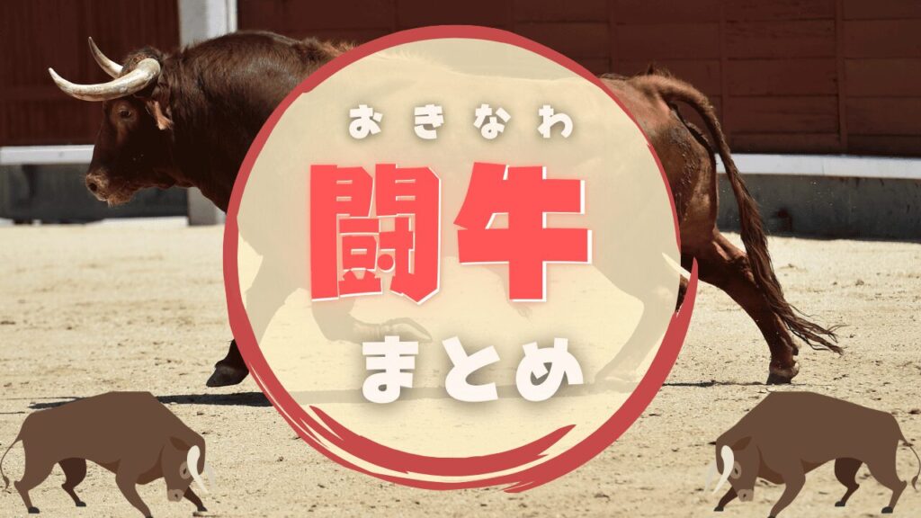 沖縄闘牛完全ガイド！歴史から見方、見どころなど闘牛を楽しむための情報を全て解説！