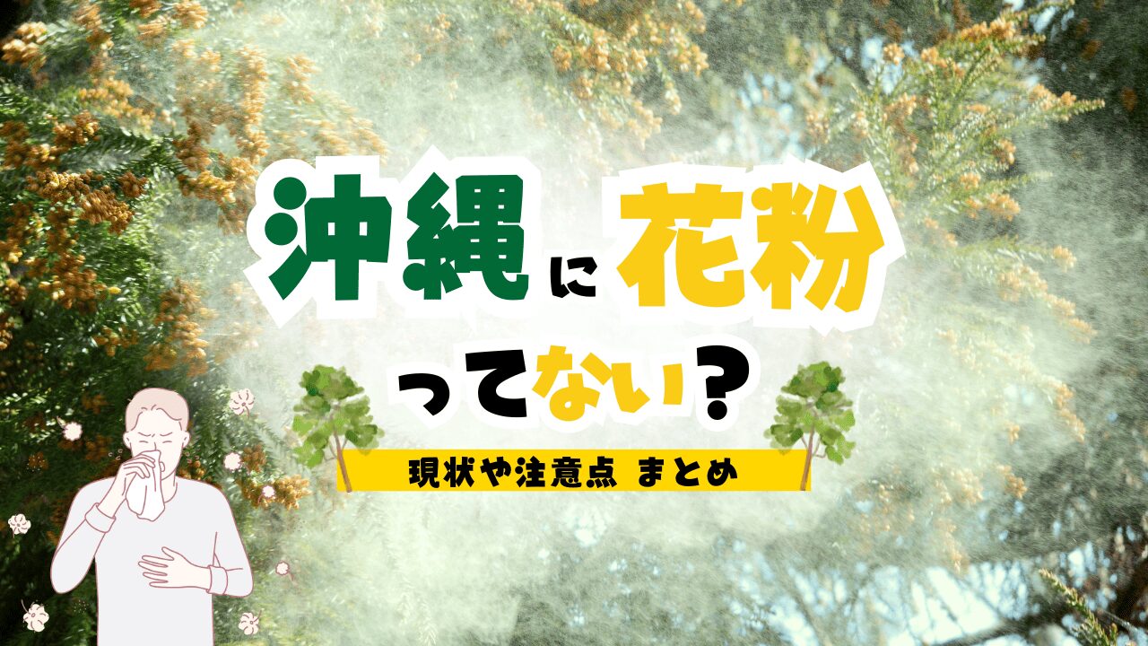 沖縄に花粉が無い？調査データからみる沖縄の花粉事情