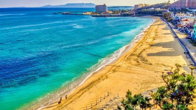 タイガービーチ