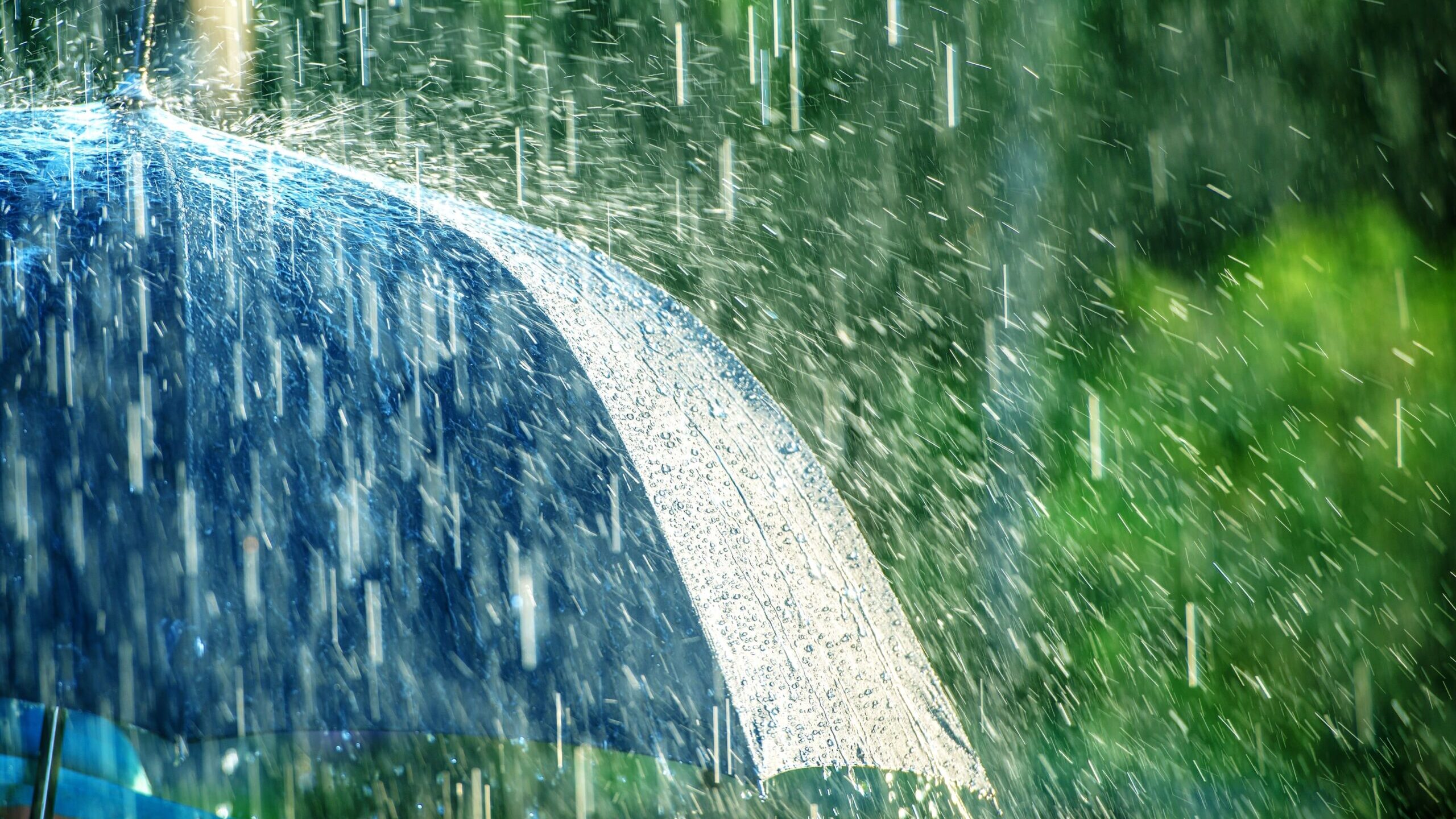 豪雨の中で傘をさす人
