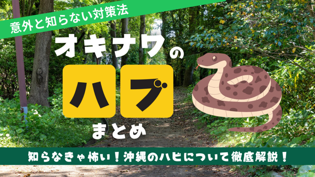 【2026年】沖縄のハブ対策ガイド！活動時期・見分け方から噛まれた時の対処法まで解説！