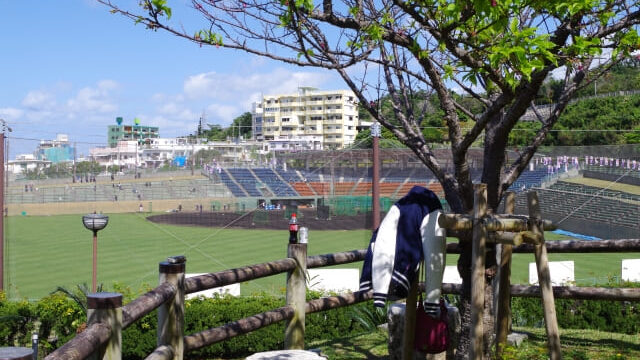 プロ野球春季キャンプ