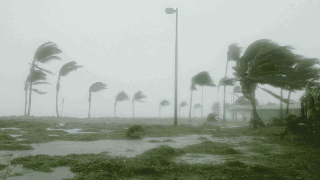 10月の沖縄の台風事情