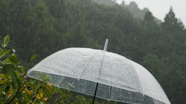 雨の中の傘