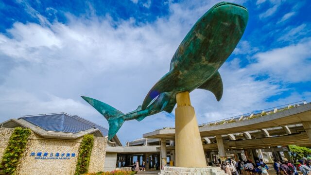 沖縄美ら海水族館