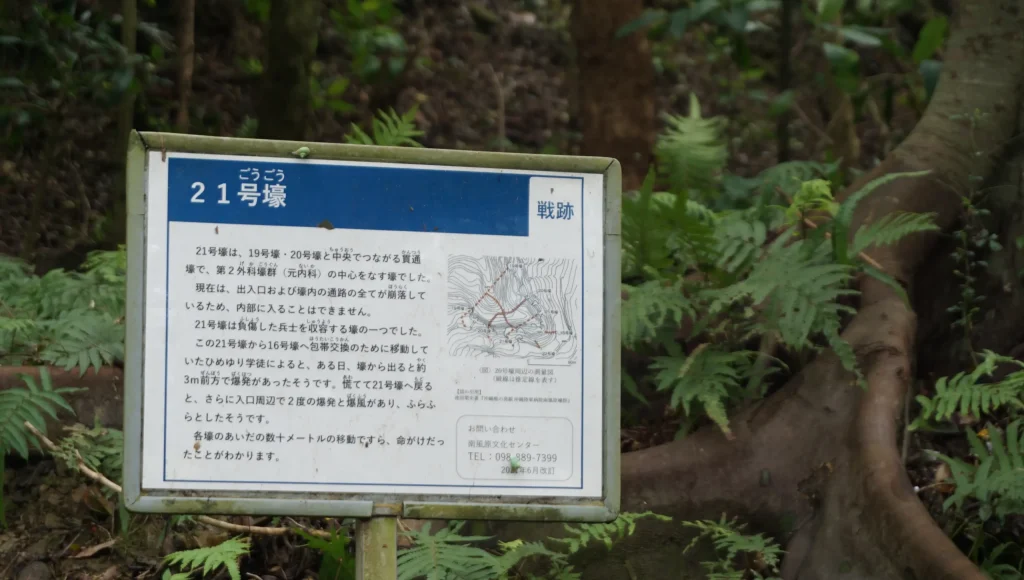 壕の説明と木の根