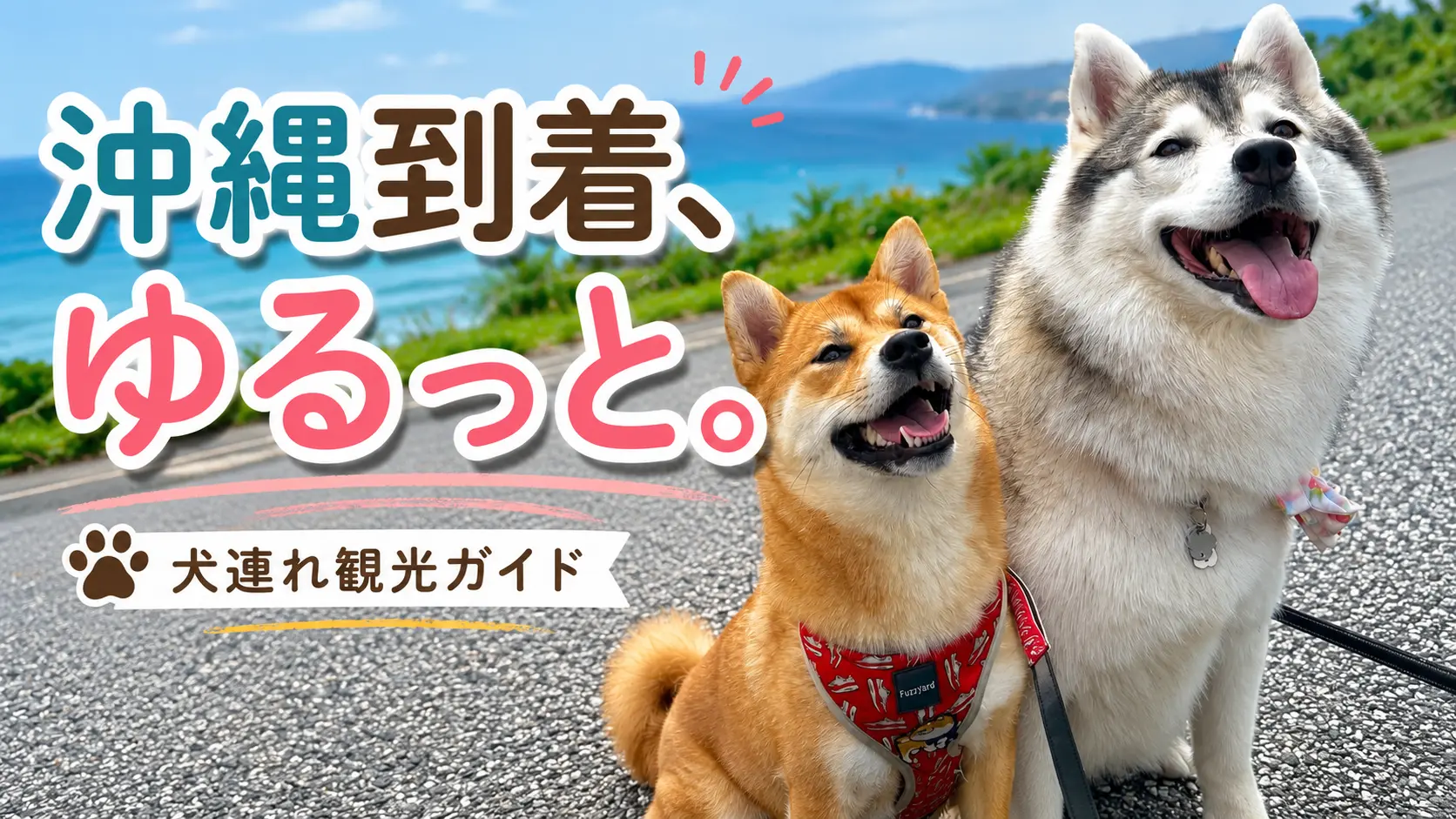 愛犬と観光