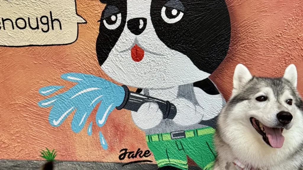 北谷お散歩の犬