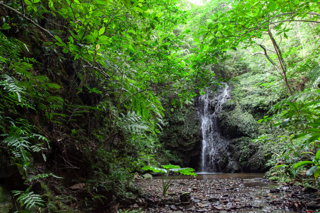 沖縄北部滝