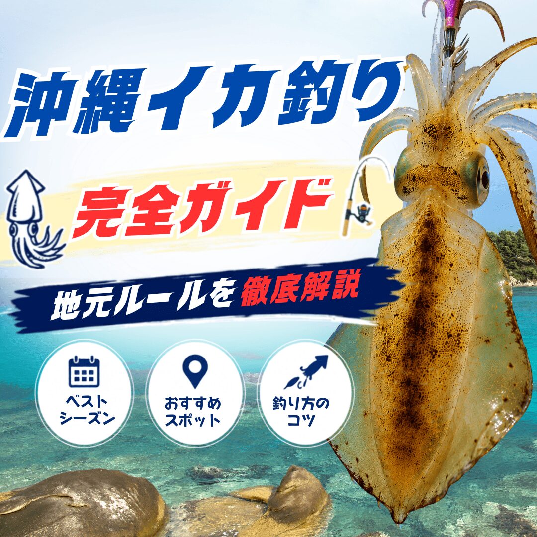 沖縄のイカ釣り初心者ガイド！釣れる時期・ポイント・独自ルール