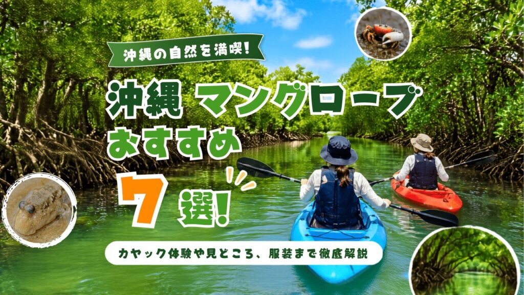 沖縄のマングローブおすすめスポット7選!カヤック体験や見どころ、服装まで徹底解説