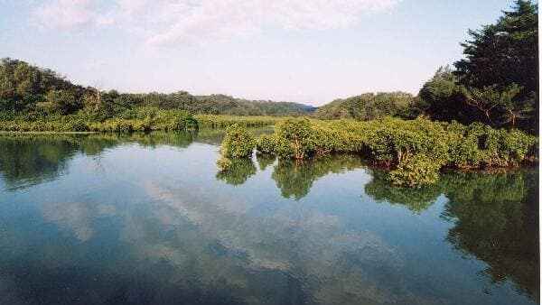 慶佐次川