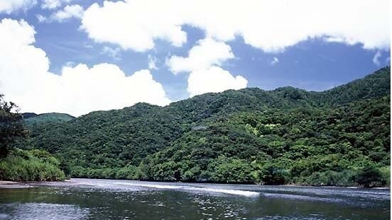 浦内川(西表島)