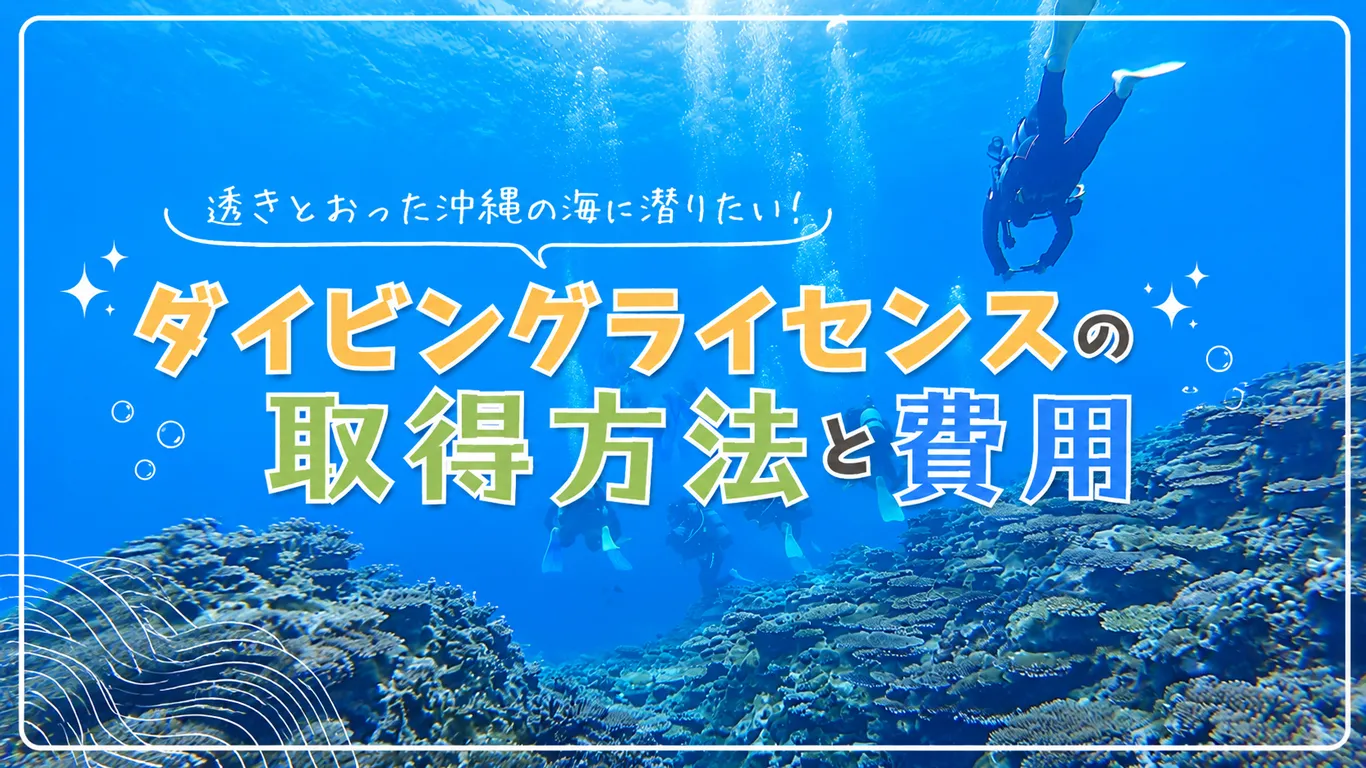 沖縄でダイビングライセンスを取るには？Cカード取得の流れと費用・日数を解説