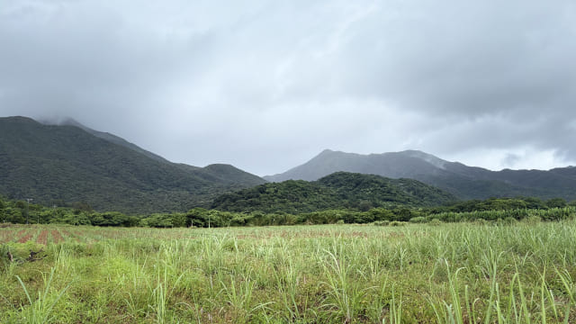 於茂登岳
