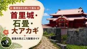 首里城の見どころを巡る！石畳・大アカギ散策ガイド