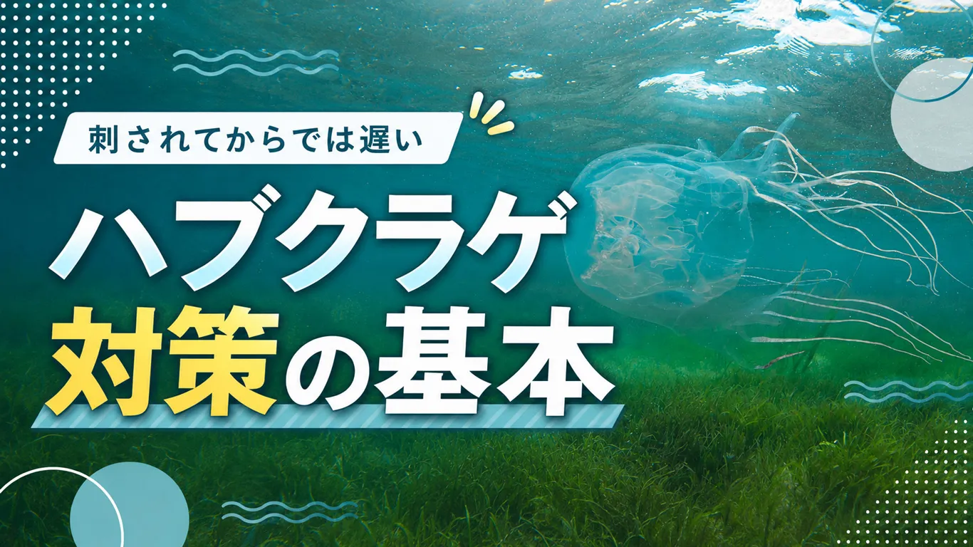 沖縄のハブクラゲに注意すべき時期は？被害の多い季節と刺されたときの対処法