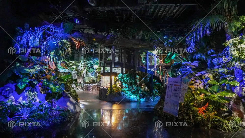 DMMかりゆし水族館