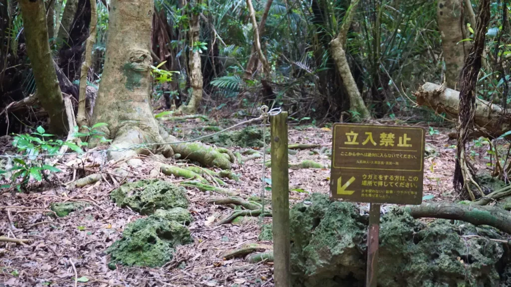 年間を通して立入禁止となっている久高島のフボー御嶽